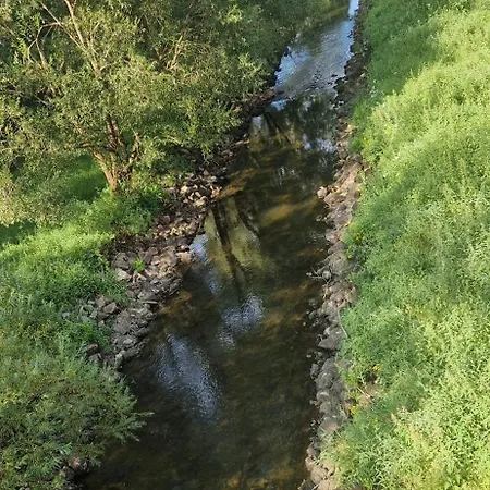 Am Donauradweg